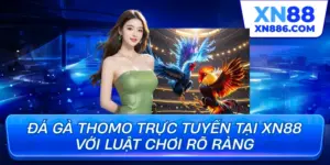 Đá gà thomo trực tuyén tại xn88 với luật chơi rõ ràng