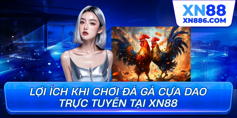 Lợi ích khi chơi đá gà cựa dao trực tuyến tại XN88