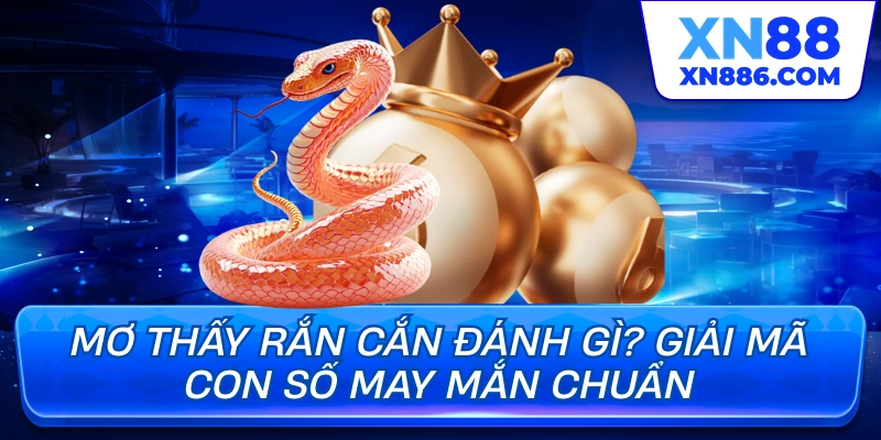 Mơ thấy rắn cắn đánh gì