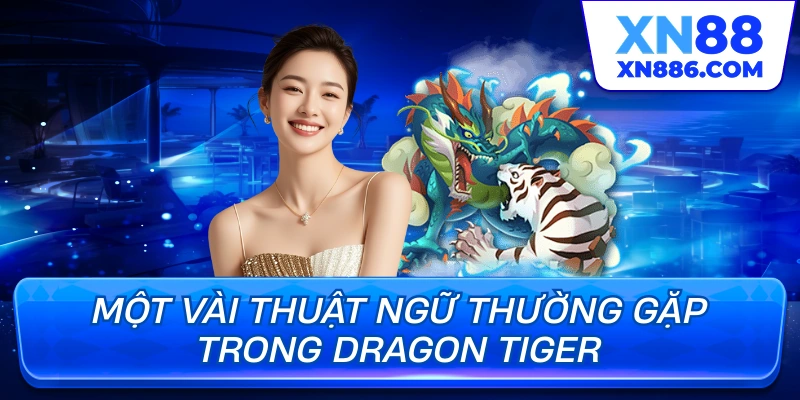 Một vài thuật ngữ thường gặp trong Dragon Tiger